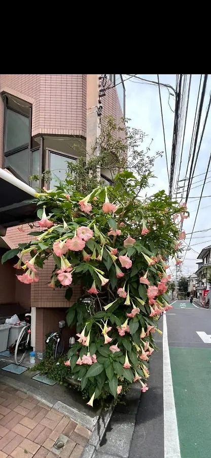 東洋の家-26 Square Meter Treadmi Garden House Apartment Tokyo