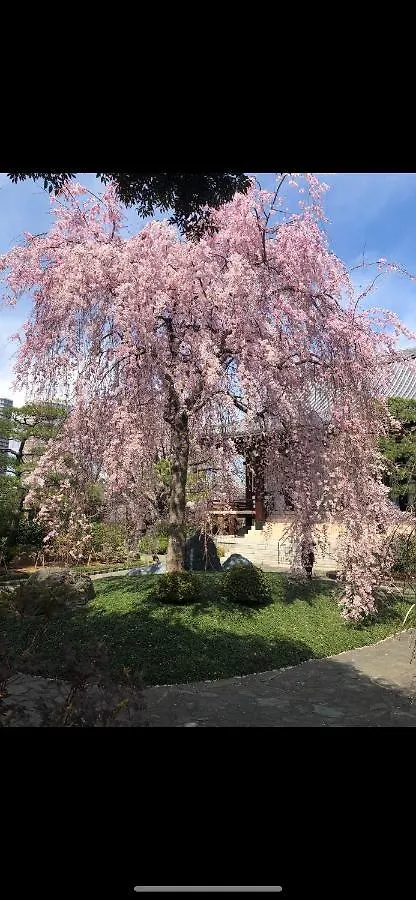 東洋の家-26 Square Meter Treadmi Garden House Apartment Tokyo Japan
