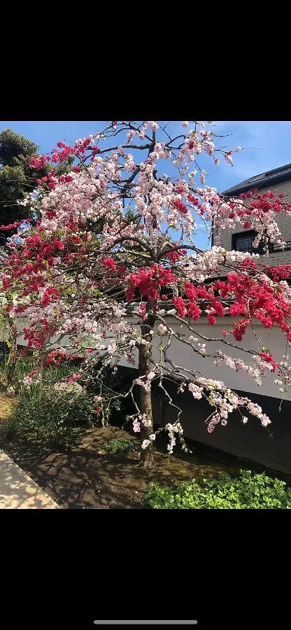 東洋の家-26 Square Meter Treadmi Garden House Apartment Tokyo 0*,